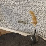 3D панель Arabica 403х237 мм.